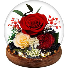 Eternal Rose in Glass, Eternal Rose Gifts with LED Light, Preserved Real Roses Flower Infinity Rose Birthday Gift for Women Valentine's Day Anniversary Mother's Day Gift for Mum (Red)