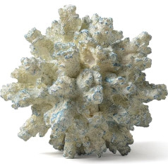 HAUCOZE Coral Statue Decor Modern Sculpture Figures Ocean Ornament Living Room Art Polyresin Gift Arts 18 cm