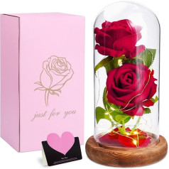 MULEVIP Rose in Glass Eternal Roses, Rose Gift Kit Rose in Glass Dome with LED Lights, Beautiful and the Animal Rose Gifts for Women, Wife, Girlfriend, Mother's Day, Anniversary, Valentine's Day,