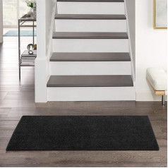 Nourison Essentials Indoor/Outdoor Solid Contemporary Black 2' x 4' Area Rug, 2' x 4'