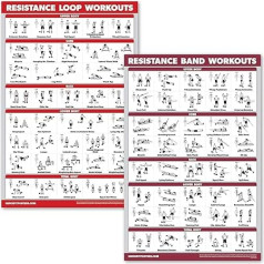 QuickFit 2 Pack - Resistance Bands and Resistance Loops Workout Posters - Set of 2 Laminated Charts - Resistance Band Tubes and Loops Exercise Charts