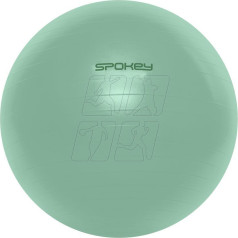 Fitball 55cm SPK-943624 / 55 CM