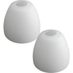 Pack of 2 Lampshades 5338 for Paul Neuhaus, Glass Lampshade, Glass Lampshade, G9 Replacement Shade, Lamp Glass for Pendant Lamp, Lampshade for Table Lamp, Floodlight, Light (2 x G9 5338)