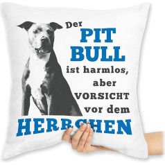 Shirtracer Cushion 40 x 40 cm Decorative Cushion – Statement with Sayings – Der Pit Bull ist harmlos Aber Vorsicht vor dem Herrchen – Grey – 40 x 40 cm – White – Saying Sayings Quote Funny