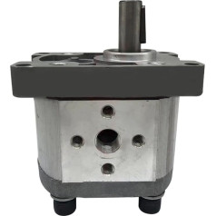 Hydraulic Gear Pump, Small High Pressure Oil Pump, CBN-F310 CBN-314/316/320 Hydraulic Pump Head YIJIAN (Color : CBT/CBN-F316)