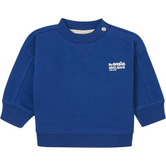 Noppies Baby Boys Sweater Gava Long Sleeve Pullover
