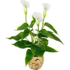 Calla Plant in Basket Artificial Plant Calla White Flowers Artificial Flowers Flower Made of Plastic Fake Artificial Decoration Fake Potted Flower Bouquets Silk Flowers Zantedeschia Arum Plant Tribe