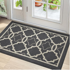 Indoor Doormat, 90 x 150 cm, Washable Dirt Trapper Mat, Non-Slip Door Mat, Water-Absorbent Door Mats, Front Door, Entrance Rug, Door Mat, Anthracite