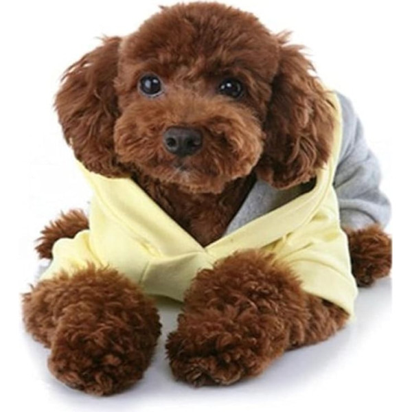 Puppy Angel Mommy Yes Set Yellow