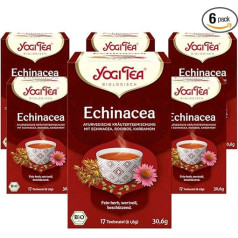 YOGI TEA Echinacea, Ayurvedic Organic Spice Tea, Naturally Caffeine-Free, with Rooibos and Spices of the Orient, 6 x 17 Bags (102 Tea Bags in Total)