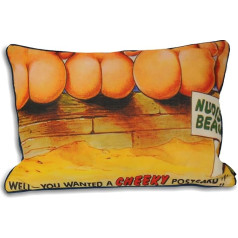 Riva Home Bamforth Beach Feather Filled Cushion