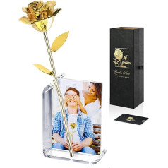 Gold Dipped Infinity Rose 24K Last Forever Rose, 1 Pack Hand Immersed in 24K Golden Roses Romantic Gifts for Women on Your Birthday Anniversary Valentine's Day Mother's Day