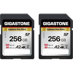 Gigastone A2 V60 256GB SDXC Memory Card 2 Pack 4K Pro Speed 120MB/s Compatible with Canon Nikon Sony Panasonic U3 UHS-I Class 10 for 4K UHD Video with 2 Mini Cases