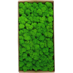 Tidyard Wall Decoration Real Preserved Moss No Maintenance Required Natural for Home Wall Party Festivals Crafts Xmas Indoor Office Decoration