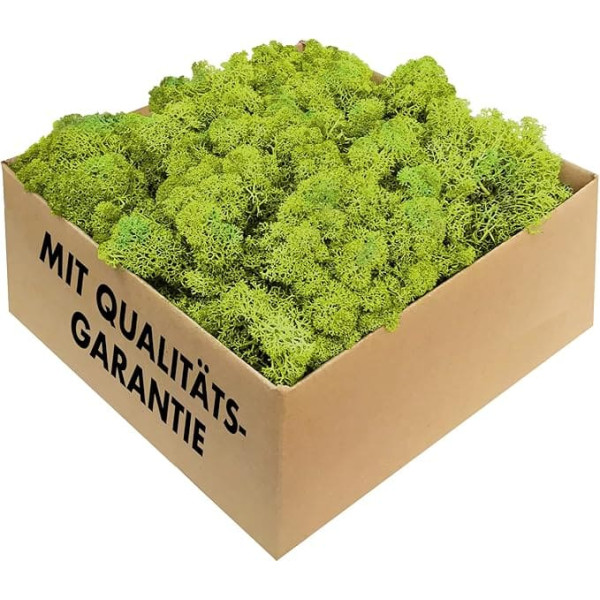 GJS Iceland Lichen Moss in 1 kg / 500 g / 200 g Pack, Various Colours, Real Preserved Natural Moss (Iceland) for Crafts, Decorative Moss for Easter Decorations, Model Making