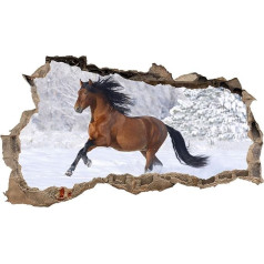 3D Wall Tattoo, Wall Sticker, Breakthrough Animals, Height 60 x Width 100 cm, for Bedroom / Living Room, multicolour
