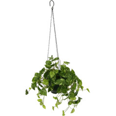 Artificial Indoor Plant Photos Artificial Flowers Pothos Hanging Basket Ivy Photo Plant Hanging Flowers Plants Vine Potho Hanger Garland Fake Bush Wall Decoration Hanging Plants Vines Hanging Flower