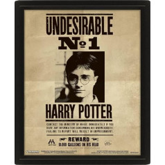 Pyramid International Harry Potter/Sirius 3D Lenticular Poster, Multi-Colour, 10 x 8 x 1.3 cm