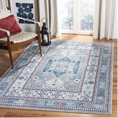 Safavieh Red Blue Rug