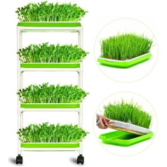 LeJoy Garden 4 Layer Sprout Trays with Extra Strong Plastic Shelf, Soil Free, Healthy, Wheatgrass Seeds, Growers & Storage Trays for Garden, Home, Office