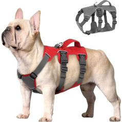 Beirui Escape Proof Dog Harness for Small Medium Dogs Reflective Dog Harness No Pull with Padded Handle Training (Red, Chest 12-20