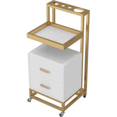 esmen Salon Trolley Metal Medical Beauty Salon Trolley Spa Cart with 2 Drawers Hairdressing Instrument Tray for Clinic Spa