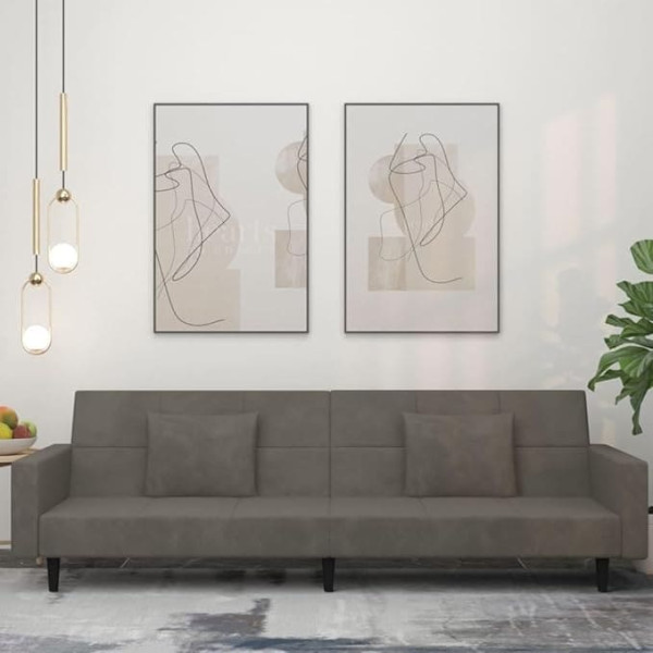 Ciadaz Sofa Bed 2-Seater with 2 Cushions Dark Grey Velvet, Lounge Sofa, Sofas & Couches, Relax Sofa, Couch for Living Room - 375817