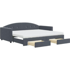 Vidaxl Day Bed, Extendable Sofa Bed with Drawers, Mattresses, Sofa Bed, Guest Bed for Bedroom, Living Room, Sofa Bed, Pull-Out Bed, Dark Grey, 90 x 200 cm, Velvet