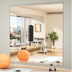 Hasipu Mirror for Home, Gym, 55