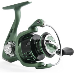 Angelrollen Karpfenrad Meer Polrolle Angelausrüstung Spinning Angelrolle Serie Karpfenrolle (Color : Vitality, Size : 2000)