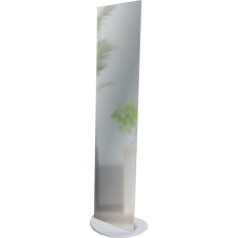 Elegant Floor Mirror 40 x 160 cm Original Grey Mirror for Bedroom, Living Room, Entrance Area