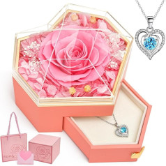 Beinhome Eternal Rose in Glass with Chain, Preserved Rose Flowers, Shipping Gift for Women, Mum, Grandma, Girlfriend, Valentine's Day, Christmas, Mother's Day, Birthday, Wedding, Thanksgiving (Pink)
