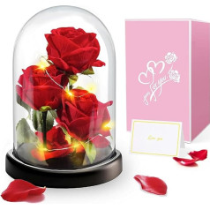 Gifts for Women, Mother's Day Gift - Premium Rose Flower Gift, Eternal Rose in Glass with Lights, 3 Red Rose in Glass Dome, Valentine's Day Gift for Girlfriend, Mum, Mother, Grandmother, Grandma