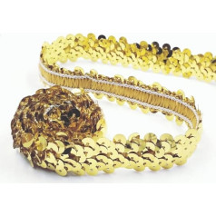 2 cm x 15 m Sequin Ribbons, Shiny Braided Decorative Ribbon Sequin Trim Sequin Trim Sequin Ribbon Sequin Trim for DIY Sewing Craft Dance Wear Bracelet Decorations – Gold