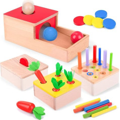 Wooden Toy from 1 Year | 4 in 1 Montessori Toy Baby Motor Skills Toy from 10 Months Boys Girls Object Permanent Sorting Game Wooden Puzzle for Children Easter Christmas Birthday New Year Gift