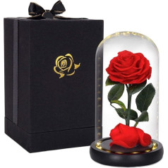 HelaCuei,l Beauty and the Beast Rose, Eternal Rose in Glass - with LED Light and Gift Box, Mother's Day Gift