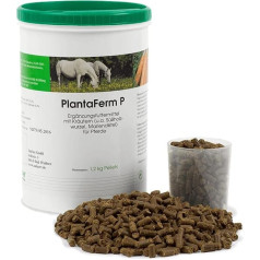 PlantaVet PlantaFerm P | 1.2 kg | Supplementary Feed for Horses | To Support Physiological Gastrointestinal Function | Can Promote Intestinal Symbiosis