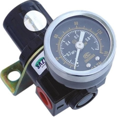 1,27 cm pneumatischer Filterregler, Luftbehandlung mit 0-1 MPa Messgerät BR4000(BR2000)