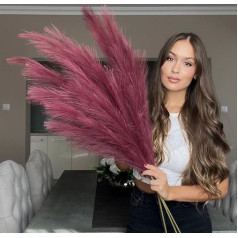 Faux Pampas Grass 2 (Fuchsia Pink)