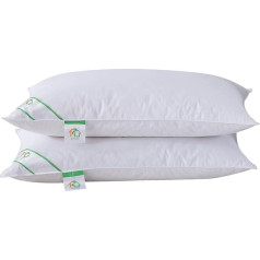 Goose Feather and Down Pillows Pair, Luxury Pillows with 100% Cotton Cover, Medium and Soft Firmness, Hotel Quality(48X74cm)
