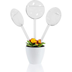 KnikGlass 3 Pieces Plant Watering Globes Bird Shape Mouth Blown Transparent Mini Durable Clear Glass Aqua Bulbs (3 Pieces Pie Shape)