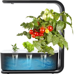 RoseFlower Hydroponic Propagation System, Smart Garden with Height Adjustable LED Plant Lamp Water Container, Propagation Station Plants, Indoor Herb Garden, Indoor Greenhouse - Black