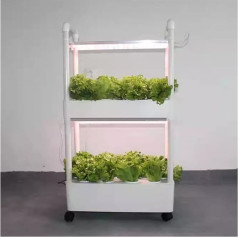 Hydroponic Tower Growing Sytem Hydroponics Growing System Indoor Smart Herb Vertical Garden Kit Automatische Wachstumslichter Pflanzgefäß für die Küche zu Hause a