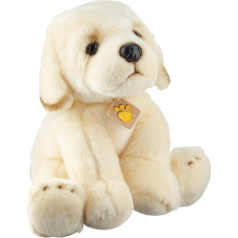 Plush & Company Plush & Company_15922 Gaga-Retriever-Length 30 cm, Multi Colour