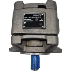 Gear Pump HG1-25/32/40/50/63-01R-VPC Injection Molding Machine Servo Oil Pump YIJIAN (Color : HG1-25-01R-VPC)