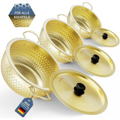 Sauté Pan with Lid, Stainless Steel Sauté Pan Set, Durable 18 cm+20 cm+22 cm, PFOA-Free Cookware, Dishwasher and Oven Safe, Compatible with All Hobs (Gold H1)