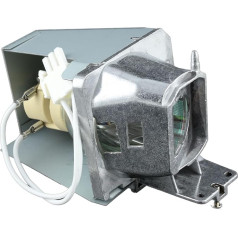 Projector Lamp for Optoma SP.7G901GC01 BL-FU240H BL-FU240G, Philips Lamp with Housing