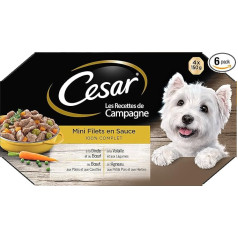 CESAR Barquettes Mini filets en sauce - 4 variétés - Pour chien adulte - 4 x 150 g (x6)