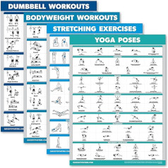 Palace Learning Dumbbell Workout Bodyweight Workout Stretching Yoga 4 Pack 18