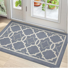 DEXI Indoor Doormat 80 x 120 cm, Washable Dirt Trapper Mat Non-Slip Door Mat Indoor Water-Absorbent Door Mats Front Door Mat Front Door Mat Light Grey